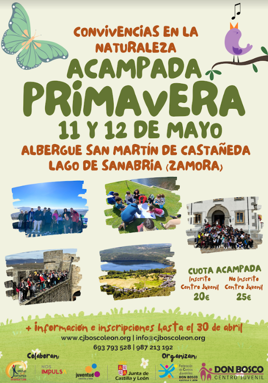 Cartel acampada primavera