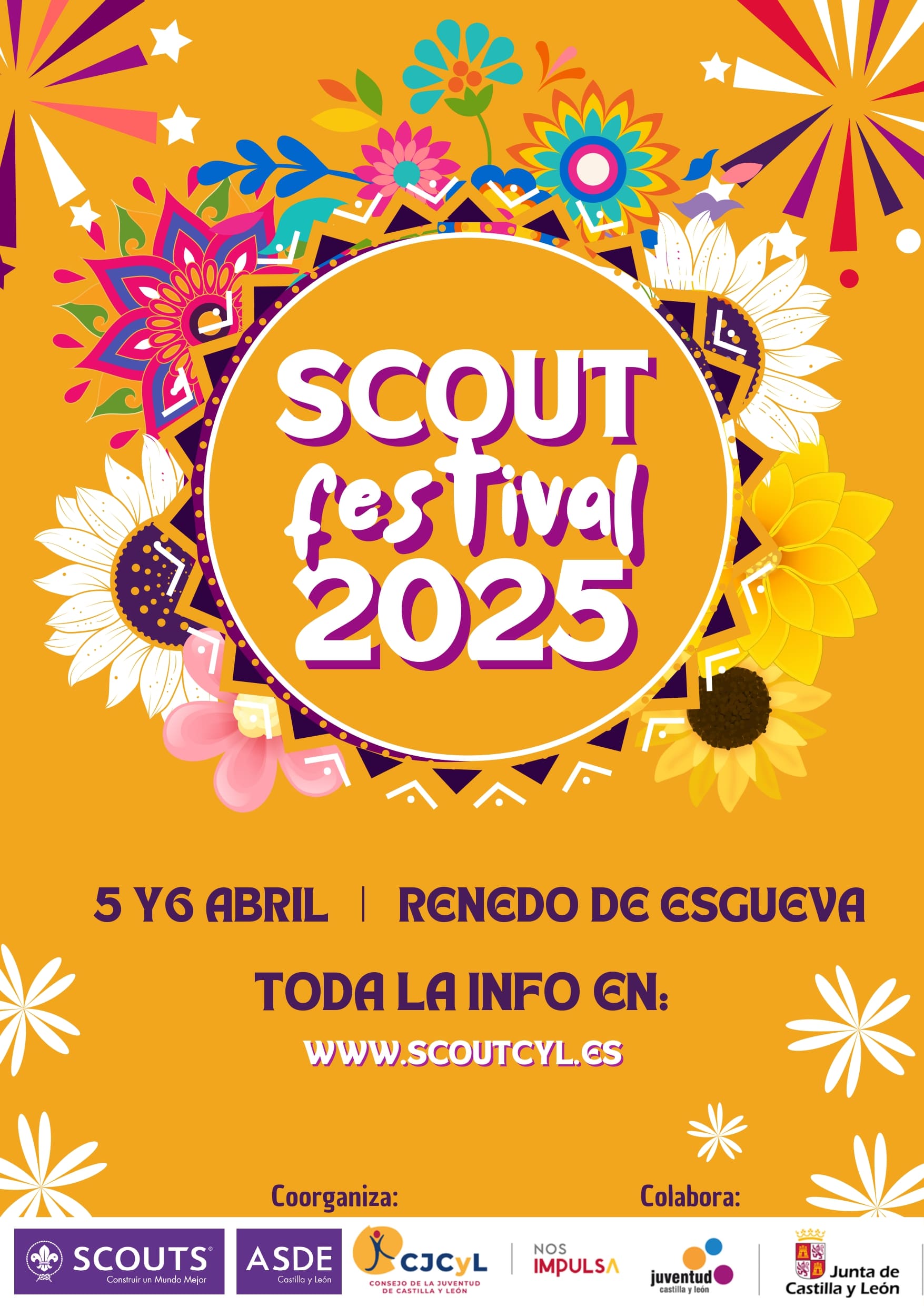 Scout Festival 2025