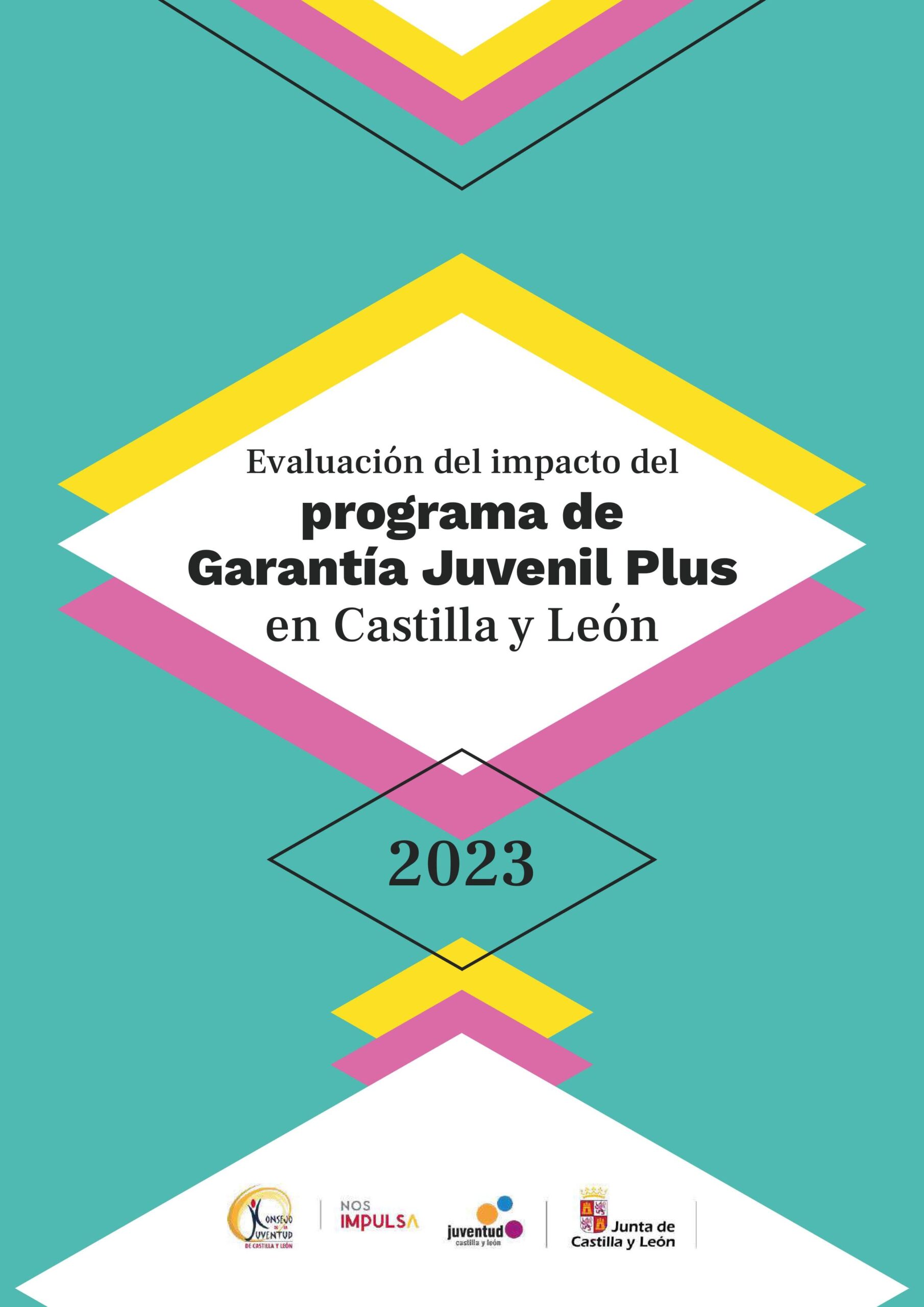 Descargar Estudio Impacto Garantía Juvenil en Castilla y León