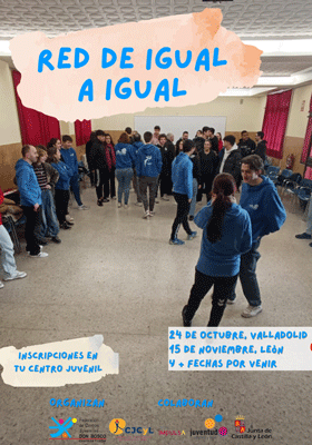 Proyecto Red de Igual a Igual